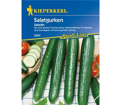 Gurke 'Saladin' Gurke 'Saladin'