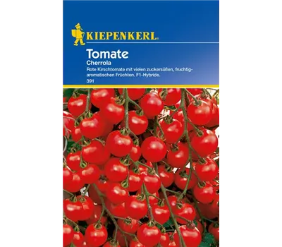 Kirschtomate 'Cherrola F1' Kirschtomate 'Cherrola F1'