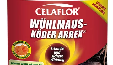 Celaflor Whlmauskder Arrex