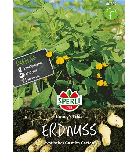 Erdnuss 'Jimmy´s Pride'