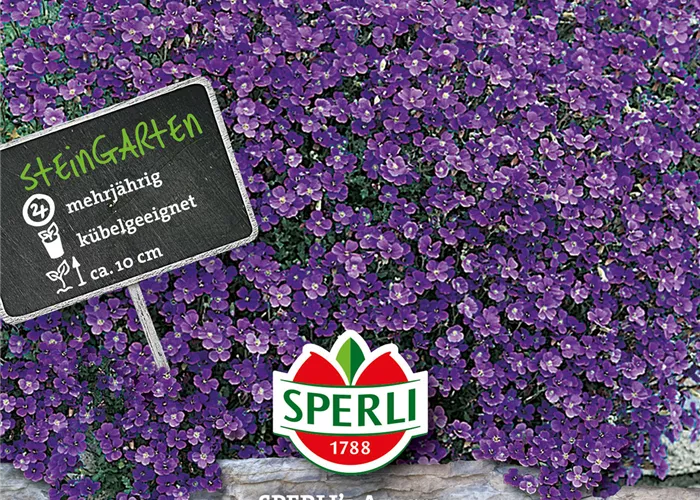 Garten-Blaukissen 'Azurro' Garten-Blaukissen 'Azurro'