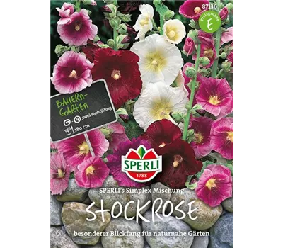 Einfachblühende Stockrose 'Simplex' Einfachblühende Stockrose 'Simplex'
