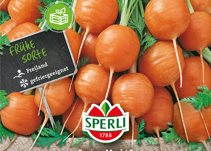 Möhre 'Pariser Markt 5'