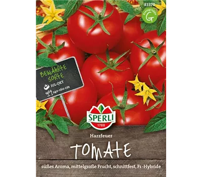 Tomate 'Harzfeuer F1' Tomate 'Harzfeuer F1'