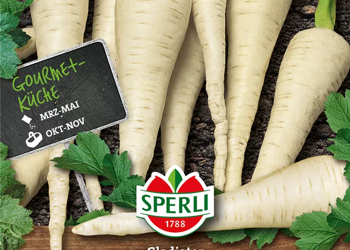 Pastinake 'Gladiator F1'