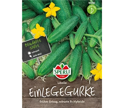 Gurke 'Libelle F1' Gurke 'Libelle F1'
