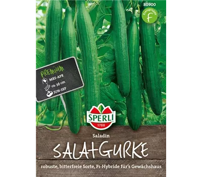 Gurke 'Saladin' Gurke 'Saladin'