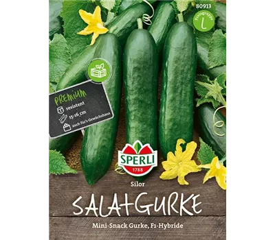 Gurke 'Silor F1' Gurke 'Silor F1'