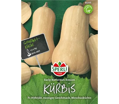 Butternuss-Kürbis 'Avalon' Butternuss-Kürbis 'Avalon'