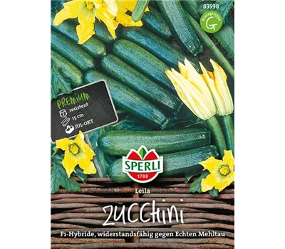 Zucchini 'Leila F1' Zucchini 'Leila F1'