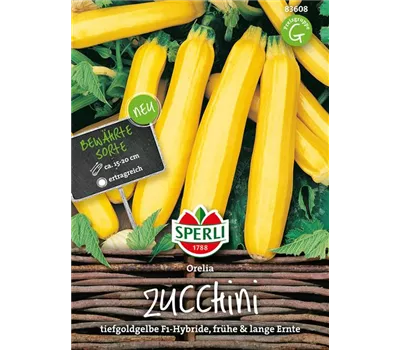 Zucchini 'Orelia' Zucchini 'Orelia'