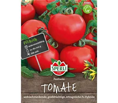 Tomate 'Fantasio F1' Tomate 'Fantasio F1'