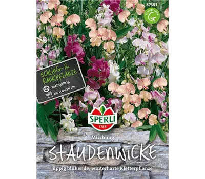 Breitblättrige Platterbse Breitblättrige Platterbse