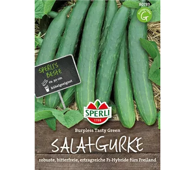Gurke 'Burpless Tasty Green F1' Gurke 'Burpless Tasty Green F1'