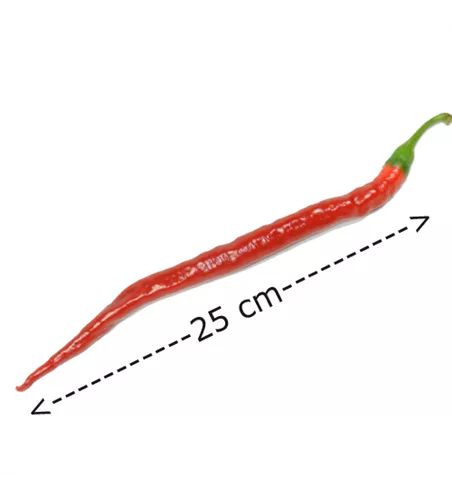 Capsicum Joe´s Long Cayenne Chili