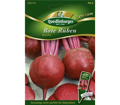 Rote Rübe-Samen 'Monika'