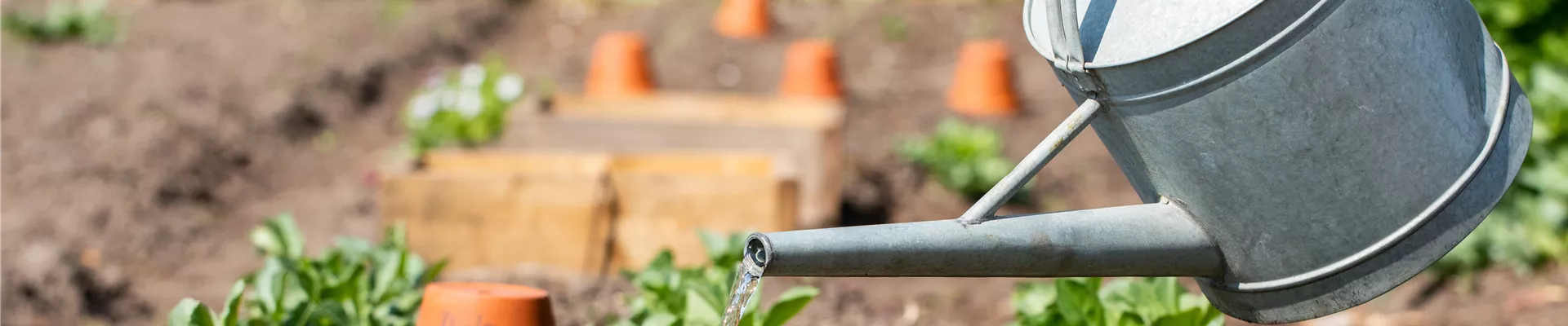 Gießkanne im Beet Gießkanne im Beet