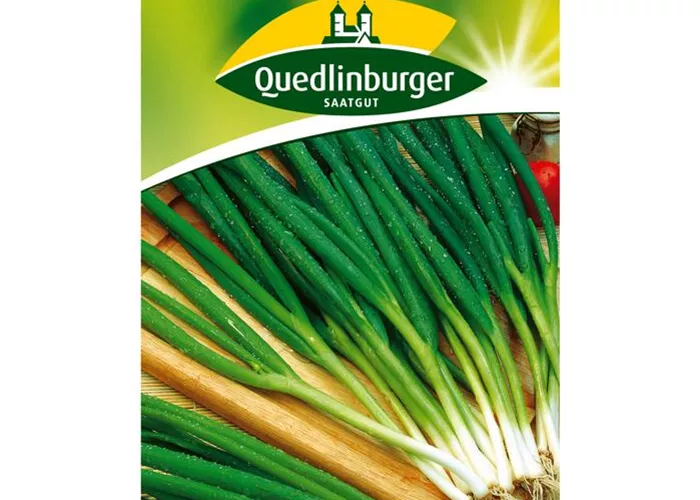 Winterheckenzwiebeln 'Freddy'