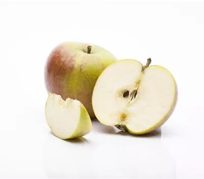 Apfel 'Cox Orangenrenette' Apfel 'Cox Orangenrenette'