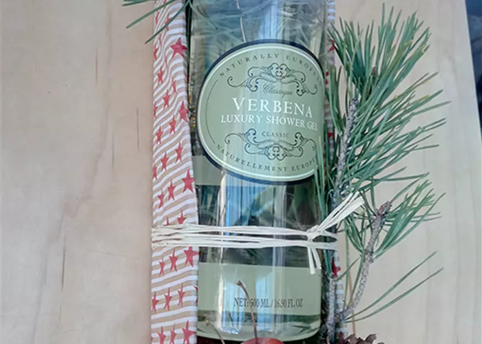 Sommerset Luxery Shower Gel als Geschenk Sommerset Luxery Shower Gel als Geschenk