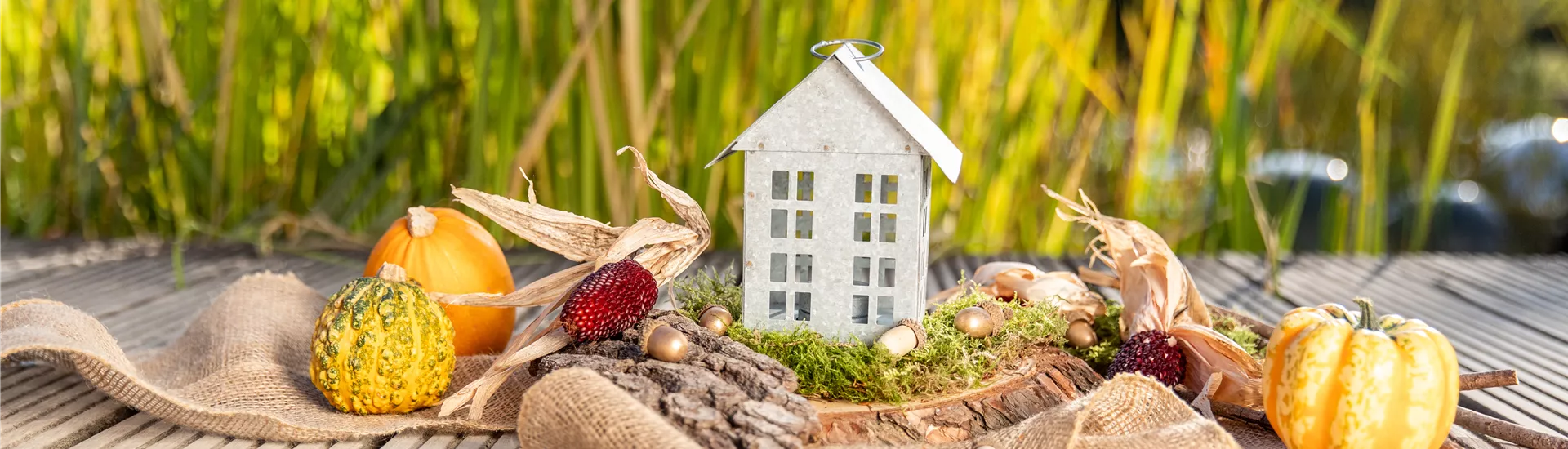Herbstdeko - Windlicht, Ziermais und Kürbisse
