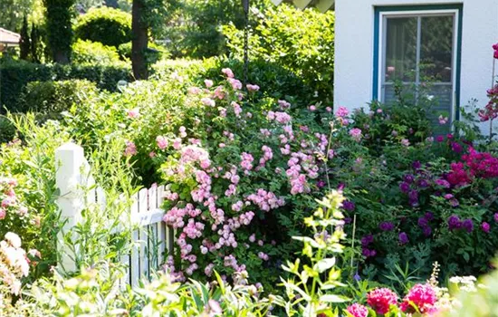 Gartengestaltung – Ideen für den eigenen Garten Gartengestaltung – Ideen für den eigenen Garten