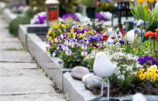 Eine ganzjährige Grabbepflanzung für ein stilvolles Andenken Eine ganzjährige Grabbepflanzung für ein stilvolles Andenken
