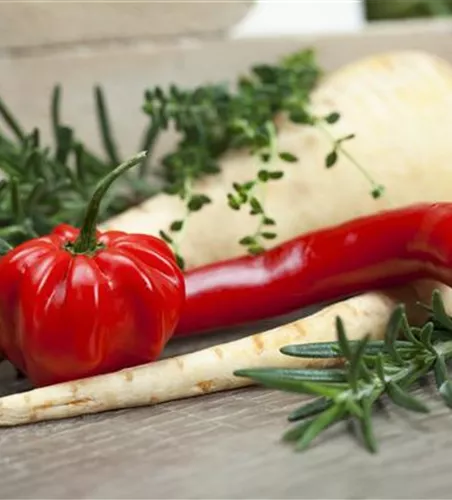 Habanero Chili 'Calita® Red'