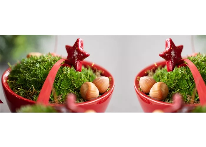 Advent- und Weihnachtszeit