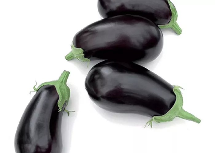 Solanum melongena 'Elisa' Solanum melongena 'Elisa'