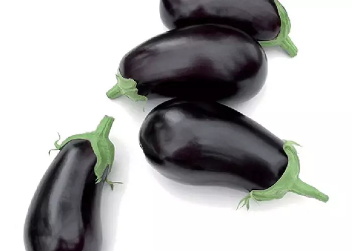 Solanum melongena 'Elisa'