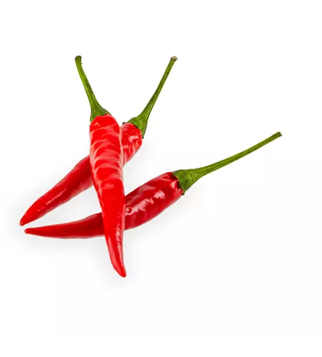 Capsicum frutescens 'Tabasco'