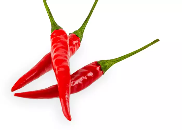 Capsicum frutescens 'Tabasco'