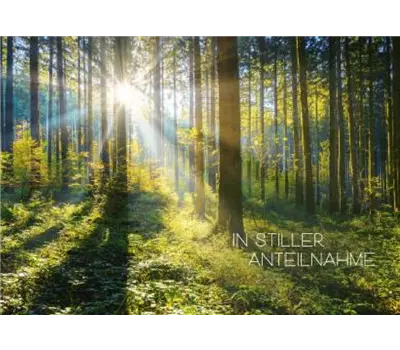 In stiller Anteilnahme (Wald) 