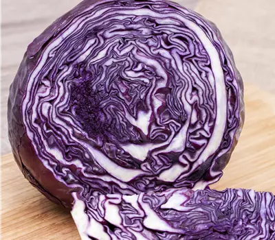 Brassica oleracea var. capitata f. rubra