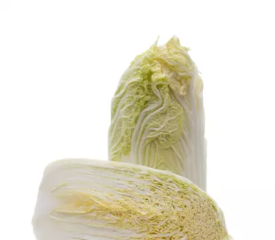 Brassica rapa subsp. pekinensis