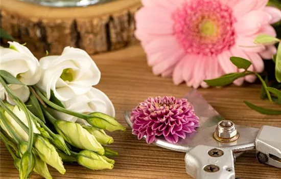 Schnittblumen - was hilft wirklich? Schnittblumen - was hilft wirklich?
