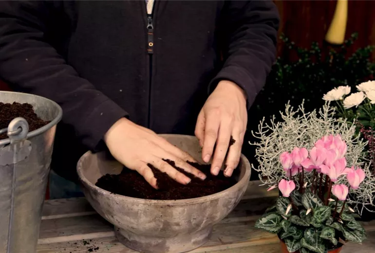 Blumenkübel - Herbstlich - Substrat einfüllen