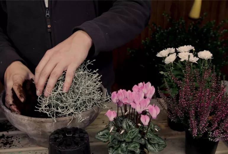 Blumenkübel - Herbstlich - Substrat nachfüllen