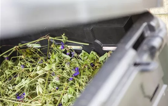 Permakultur Permakultur