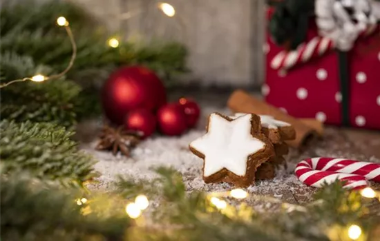 Grüne Kugeln – die etwas andere Weihnachtsdeko Grüne Kugeln – die etwas andere Weihnachtsdeko