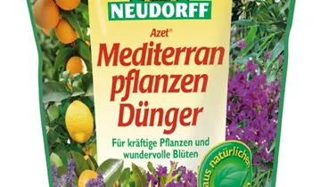 Azet Zitrus- & Mediterran PflanzenDnger